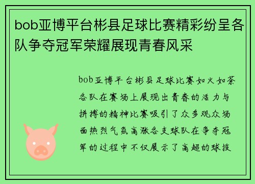 bob亚博平台彬县足球比赛精彩纷呈各队争夺冠军荣耀展现青春风采